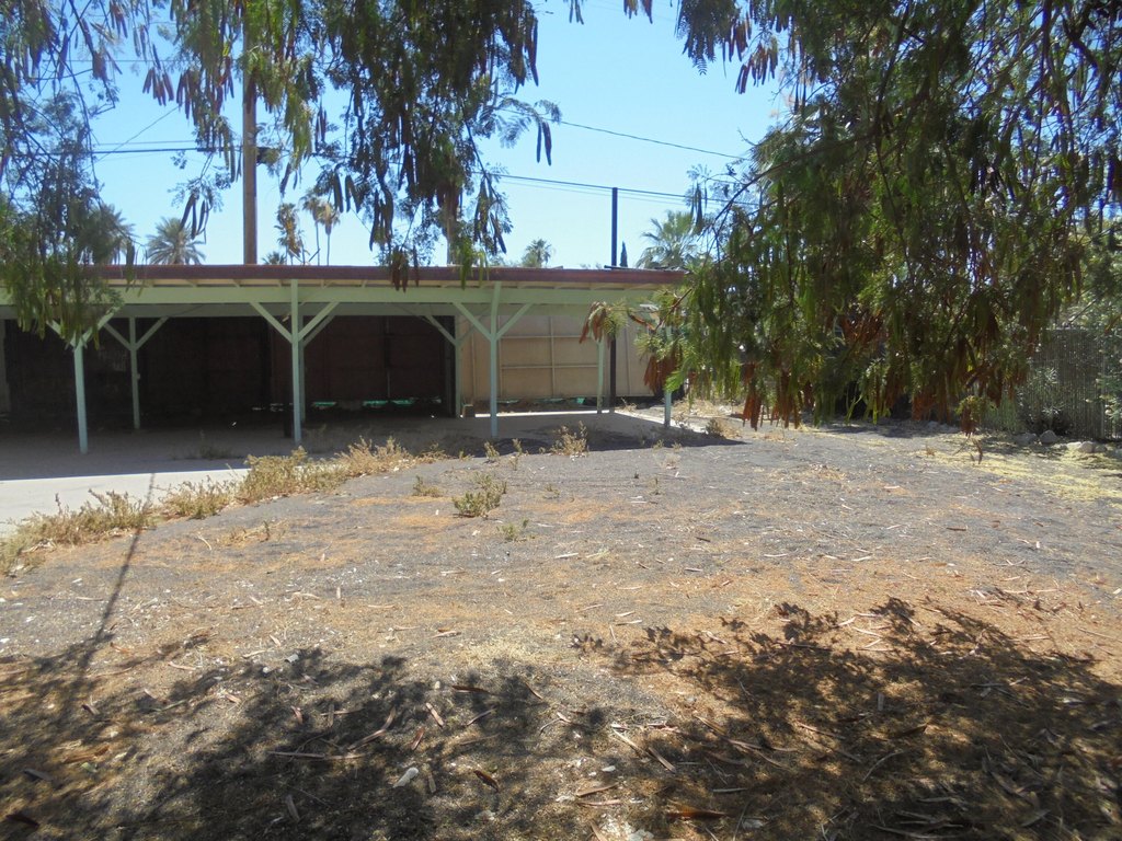 Picture 20