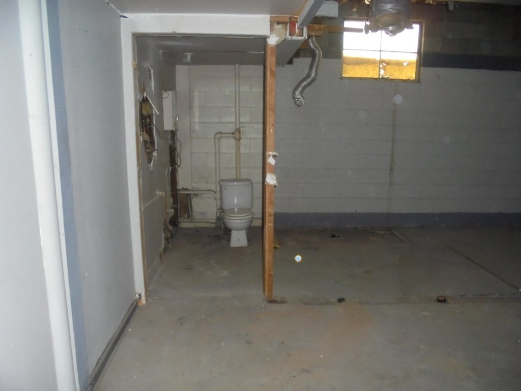 Picture 14