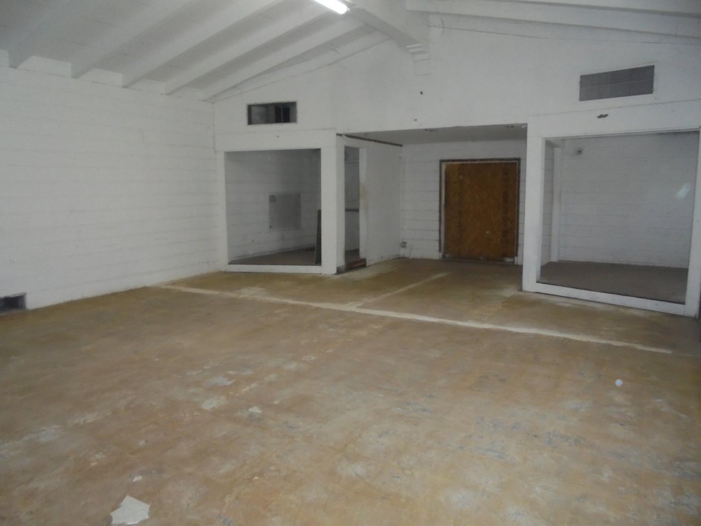 Picture 5