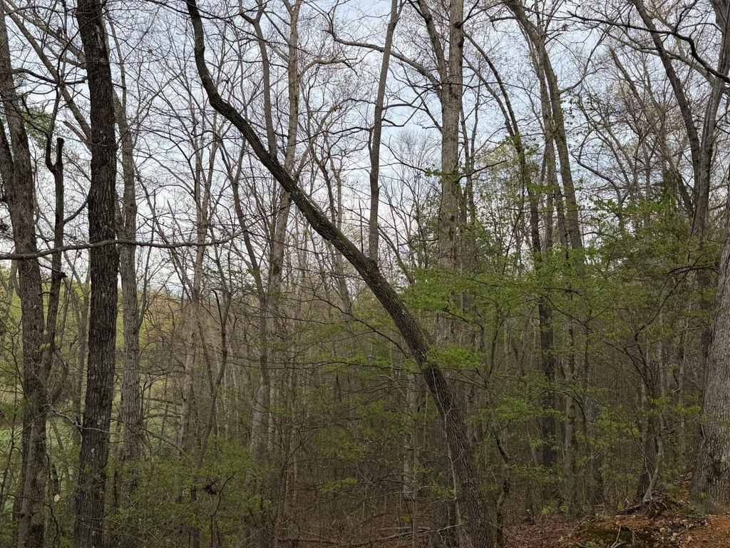 Picture 2