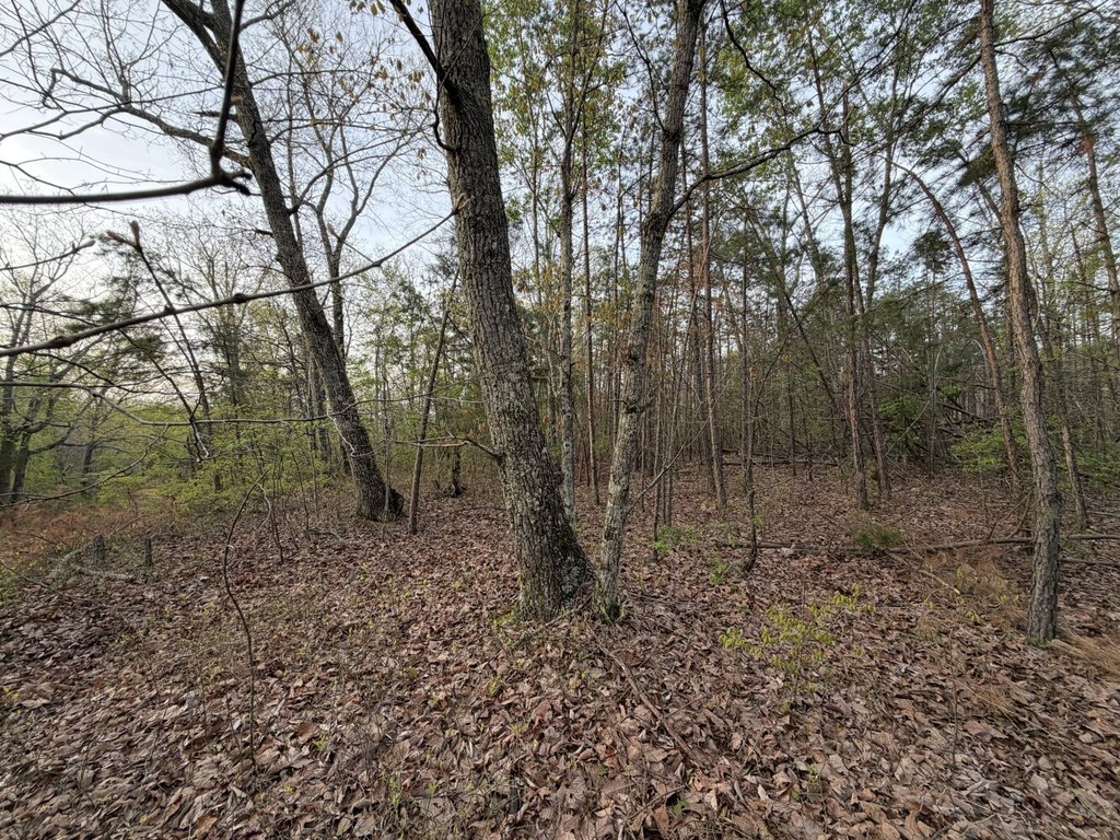 Picture 7