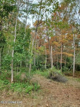 Waterfront Building Lot Available