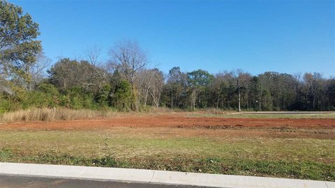 Residential Lot in Gated Subdivision