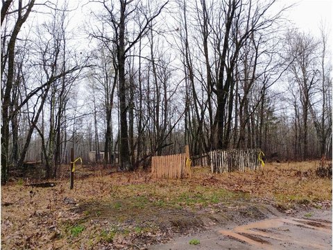 Hinckley Land with Hunting Potential