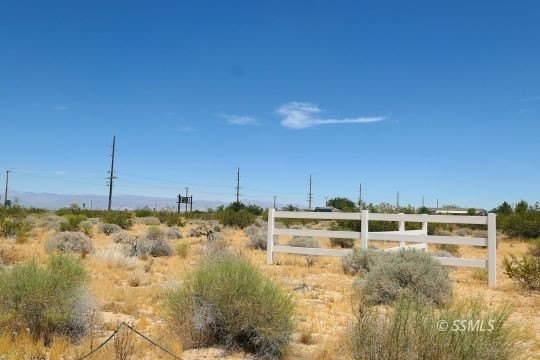 Picture 9