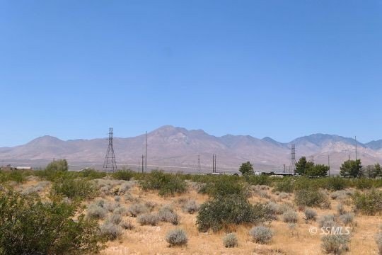 Picture 5