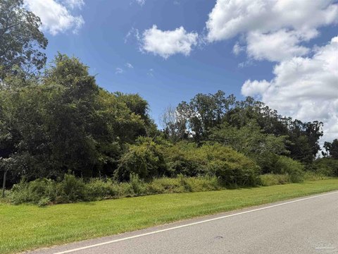 LAND - Walnut Hill, FL