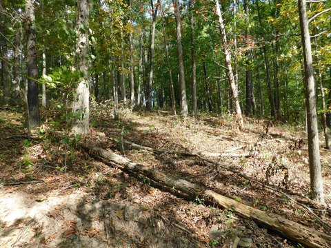 Commercial Land with Road Frontage