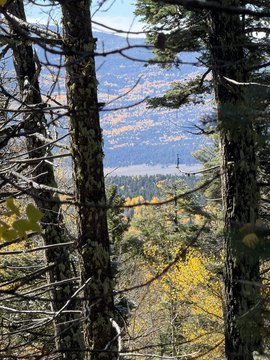 Land, Angel Fire, NM