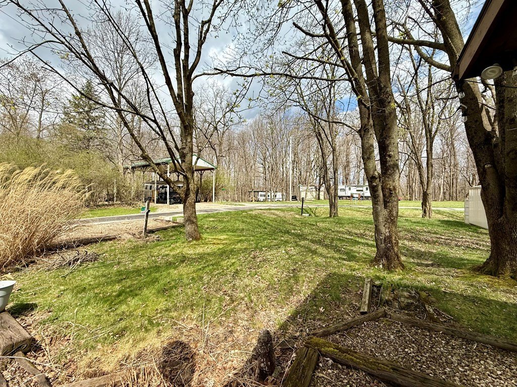 Picture 11