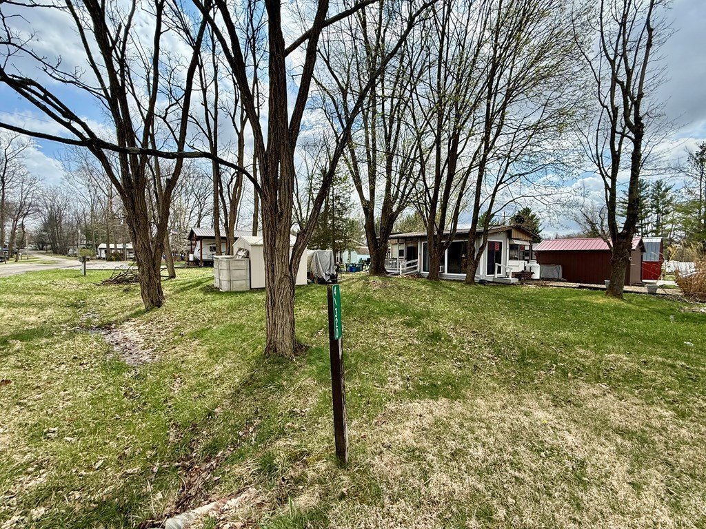 Picture 12