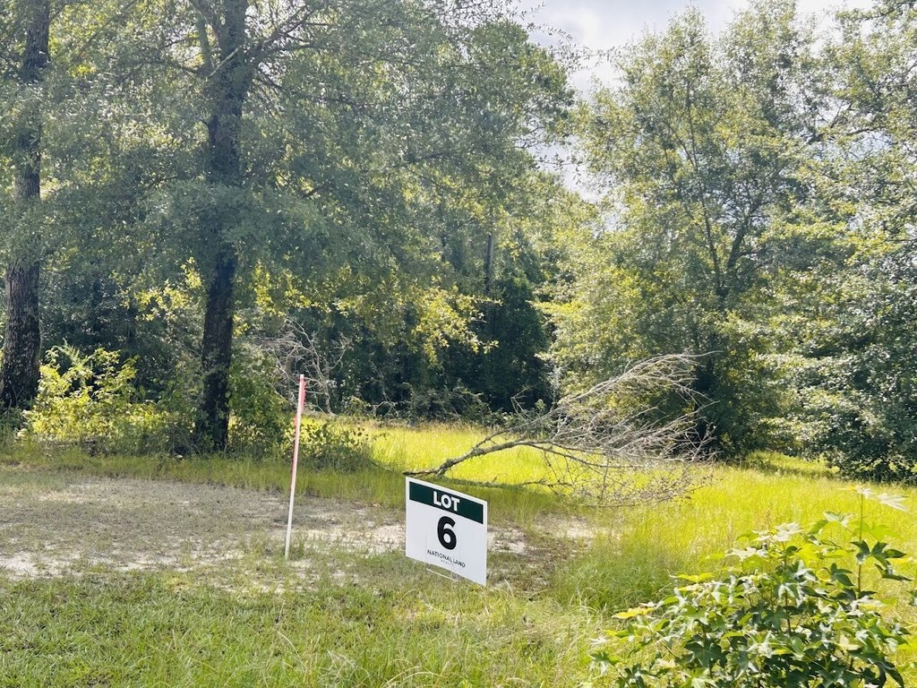 Picture 3