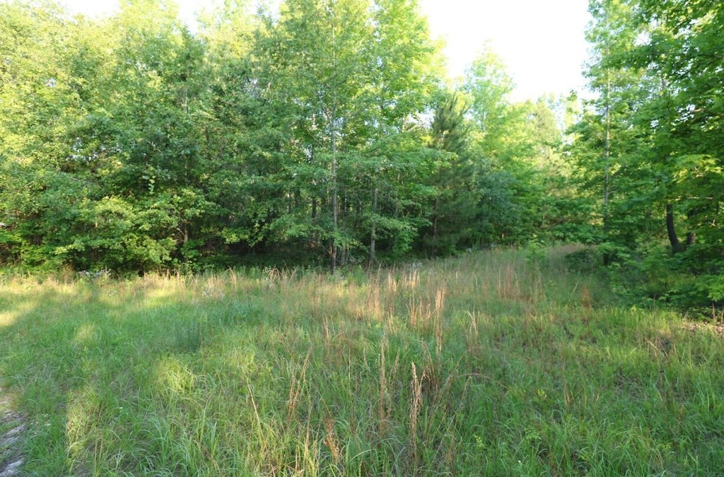 Picture 12