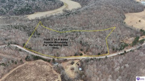 Wooded Hunting Tract with Building Site