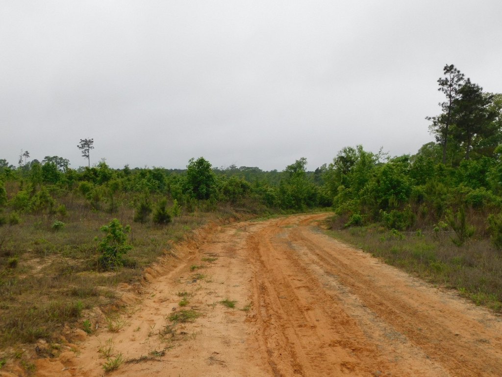 Picture 6
