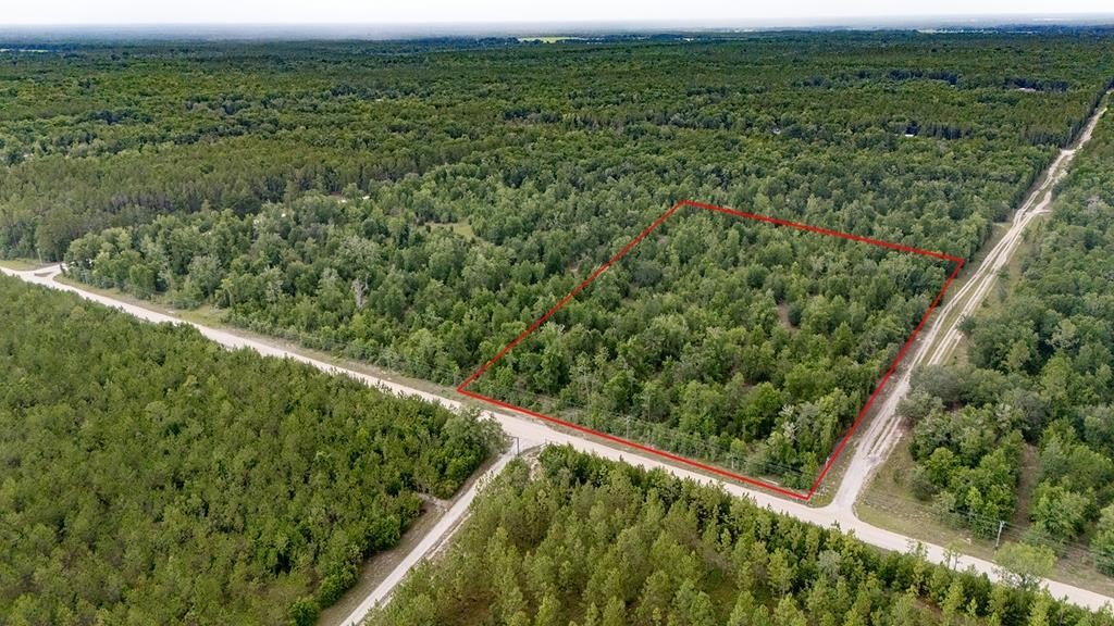 Expansive Vacant Land Near High Springs