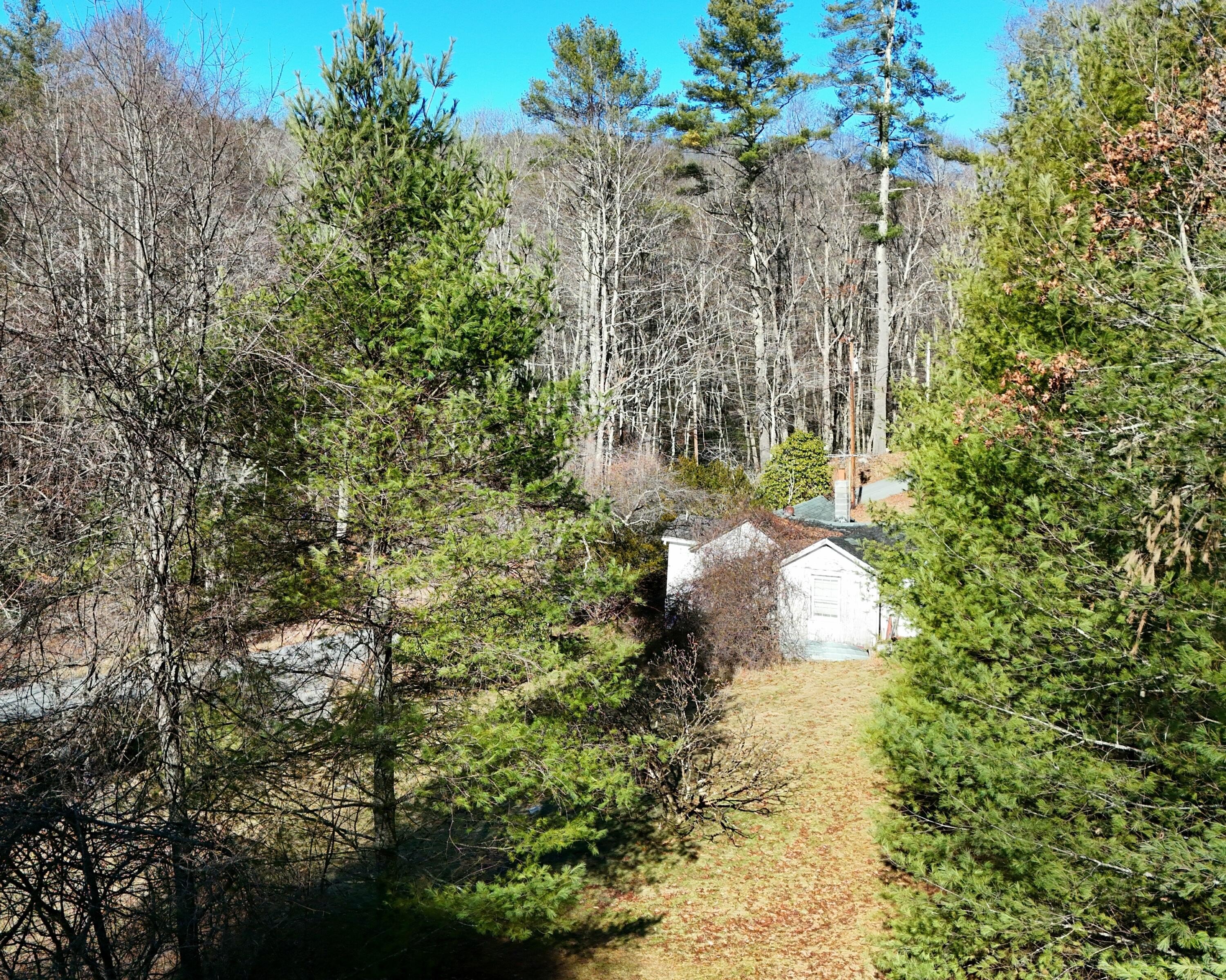 Secluded Forested Land with Utilities