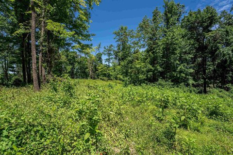 Residential Land in Cheat Lake