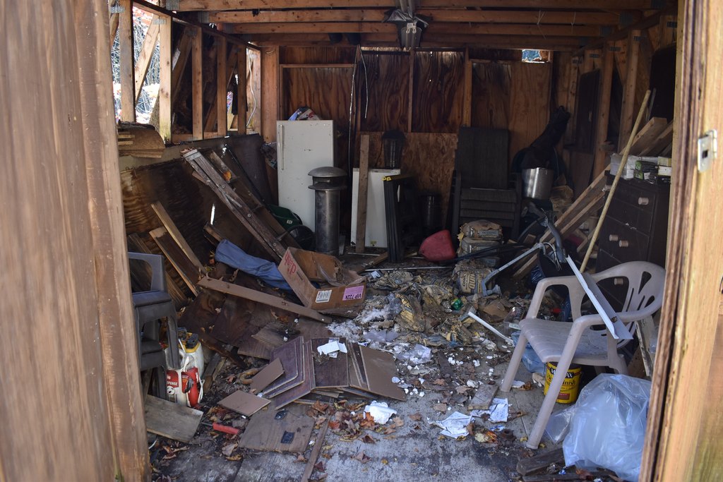 Picture 19