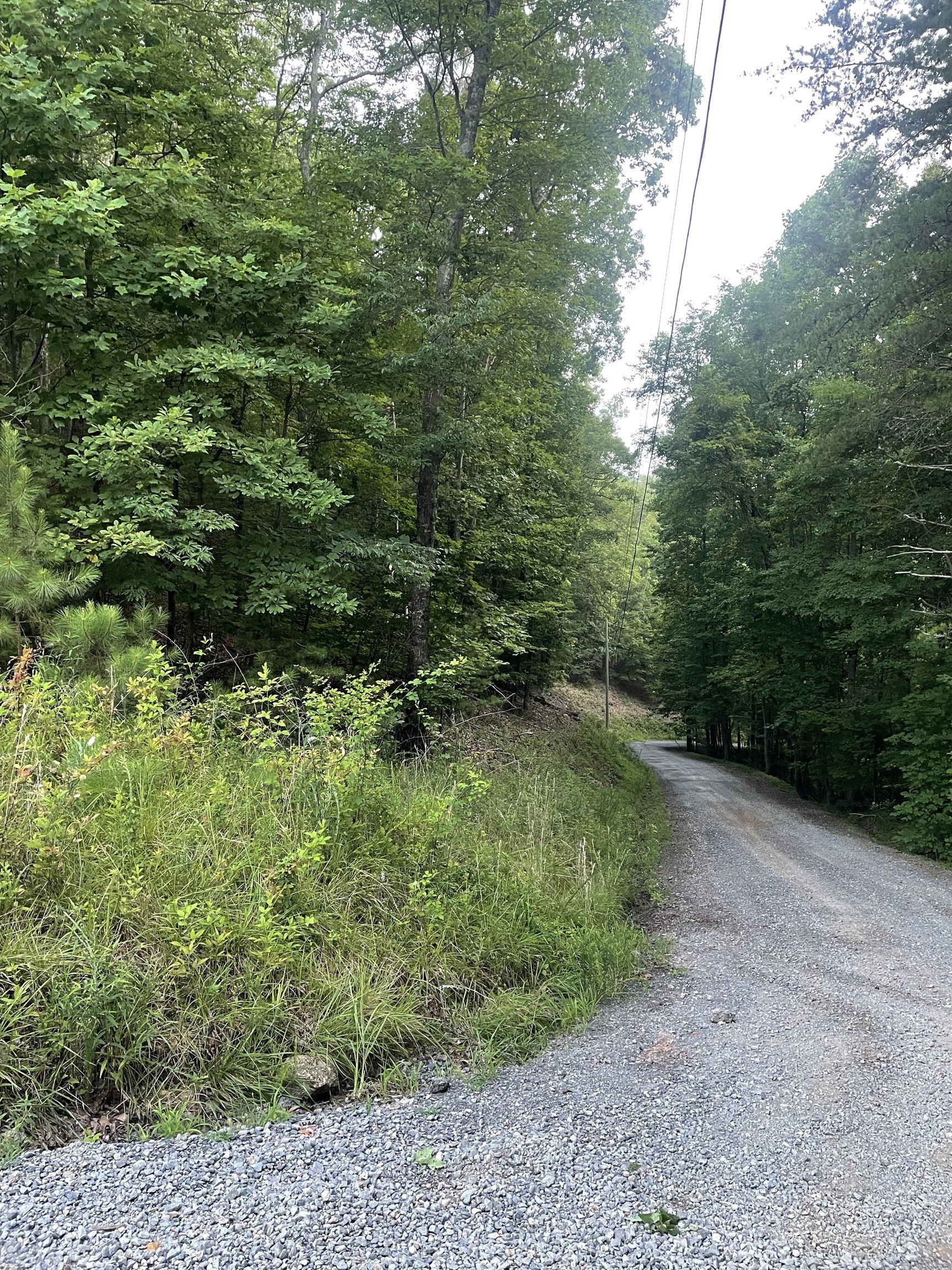 Secluded Lot with Eastern Views