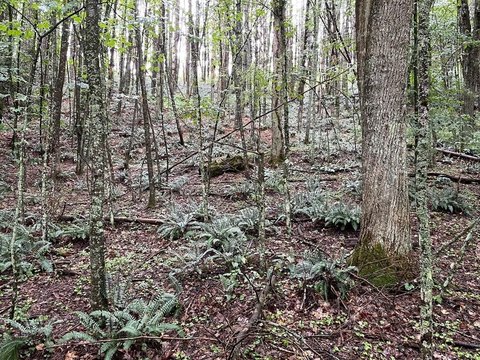 Land, Hillsville, VA