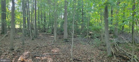 Buildable Lot in Accokeek, MD