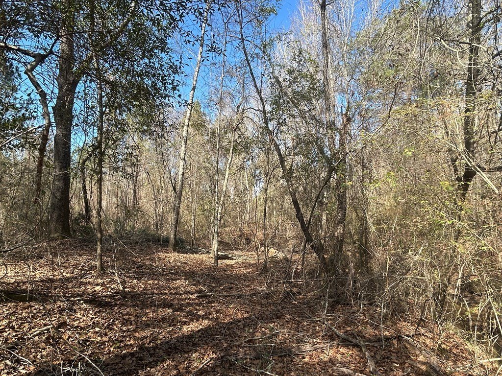 Picture 17