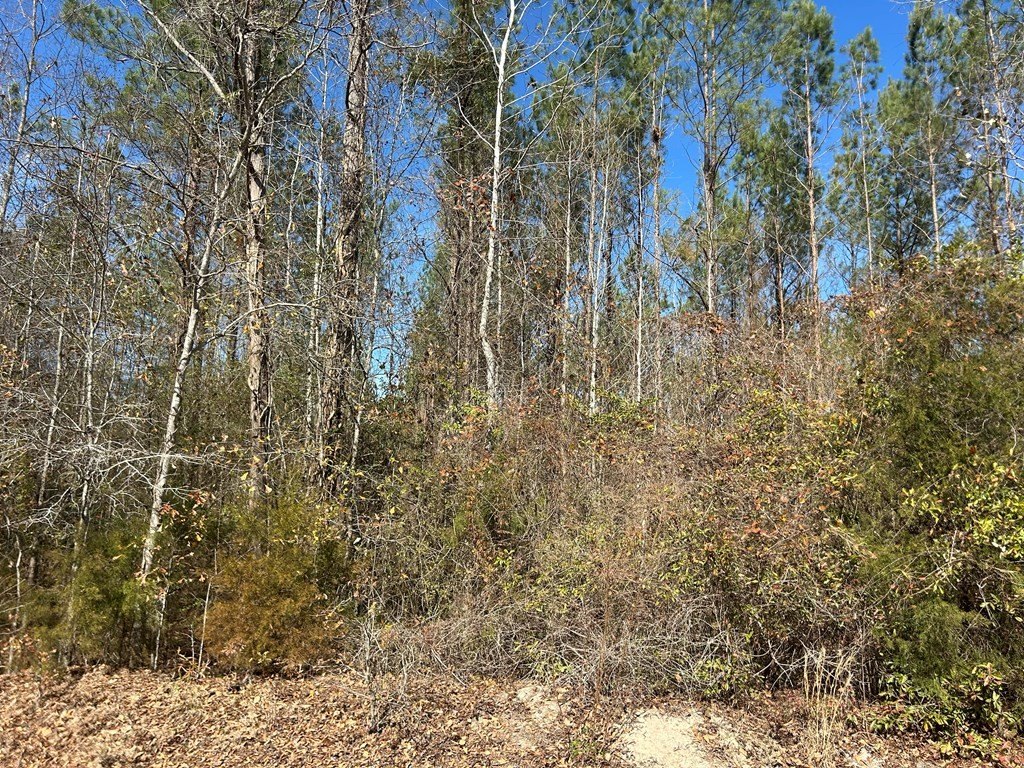 Picture 18