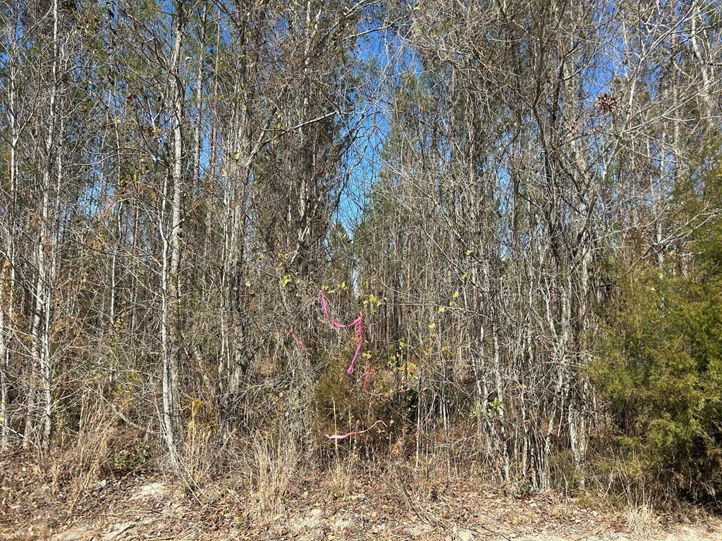 Picture 19
