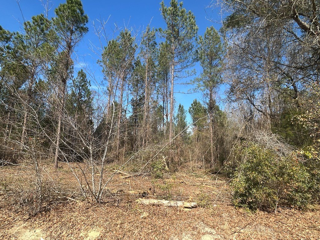 Picture 14