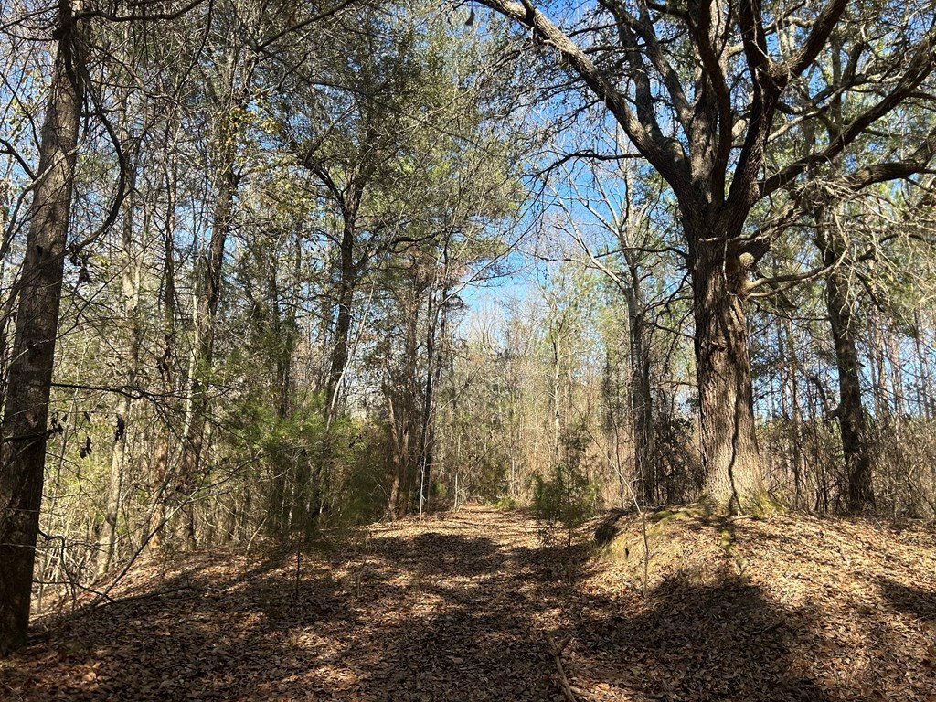 Picture 25