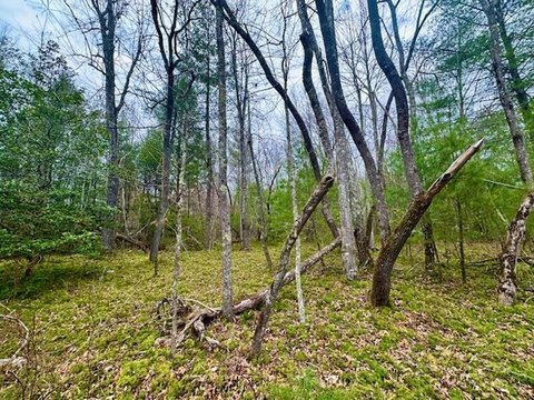 Land, Sunbright, TN