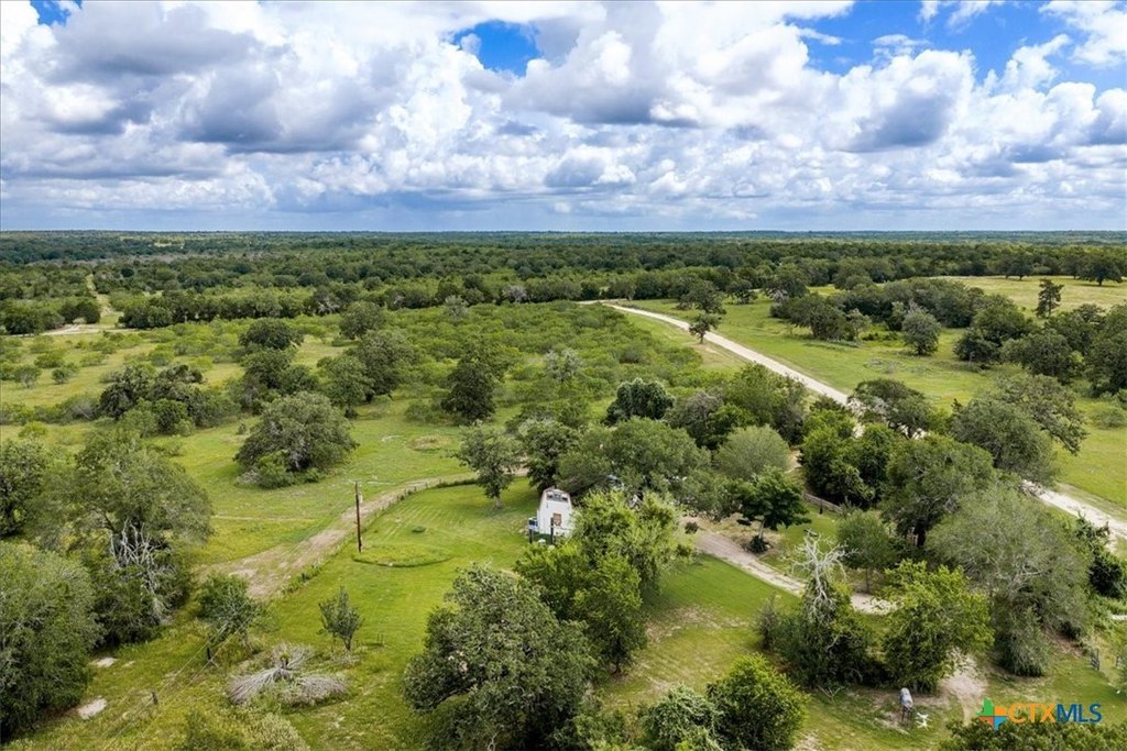 Picture 20