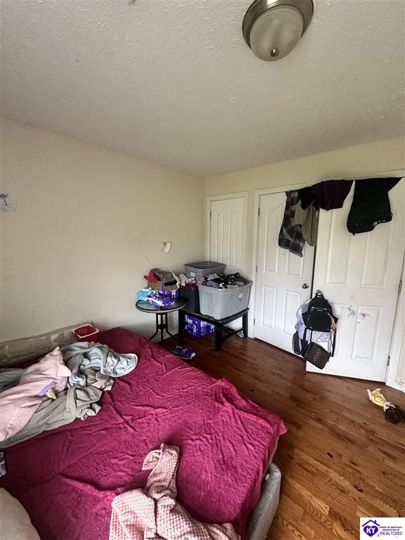 Picture 29