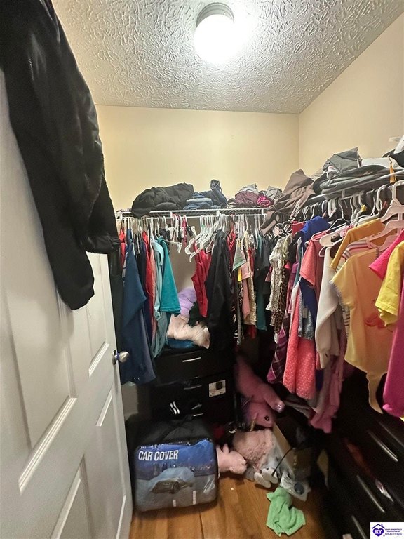 Picture 41