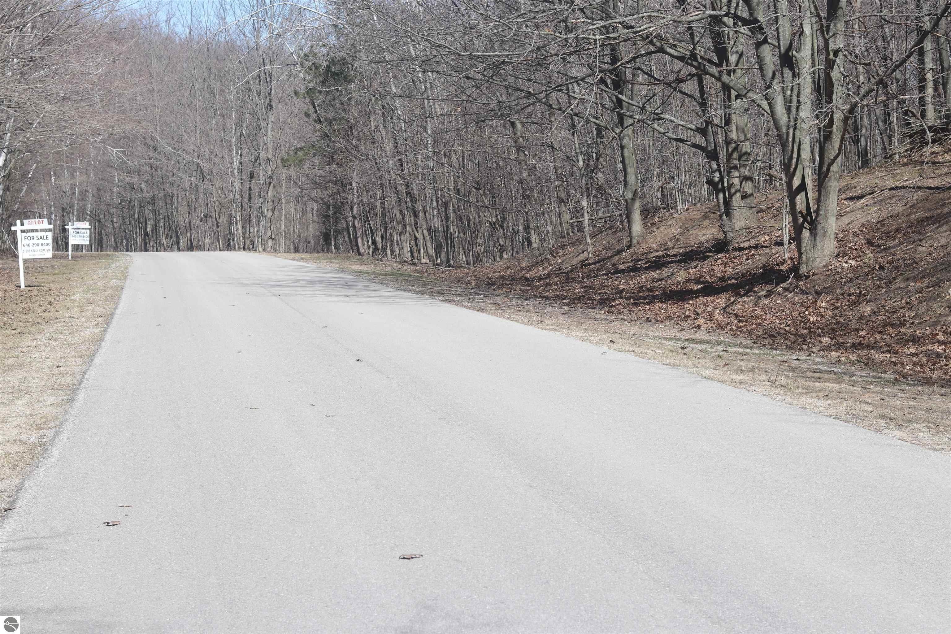 Wooded Lot in Beulah, MI