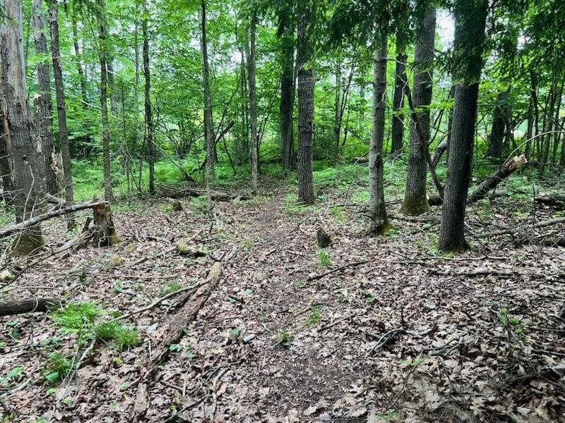 Picture 21