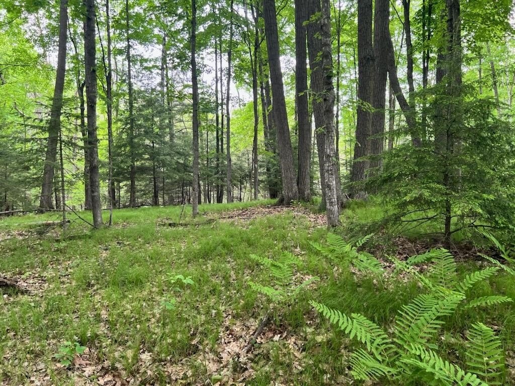 Picture 19