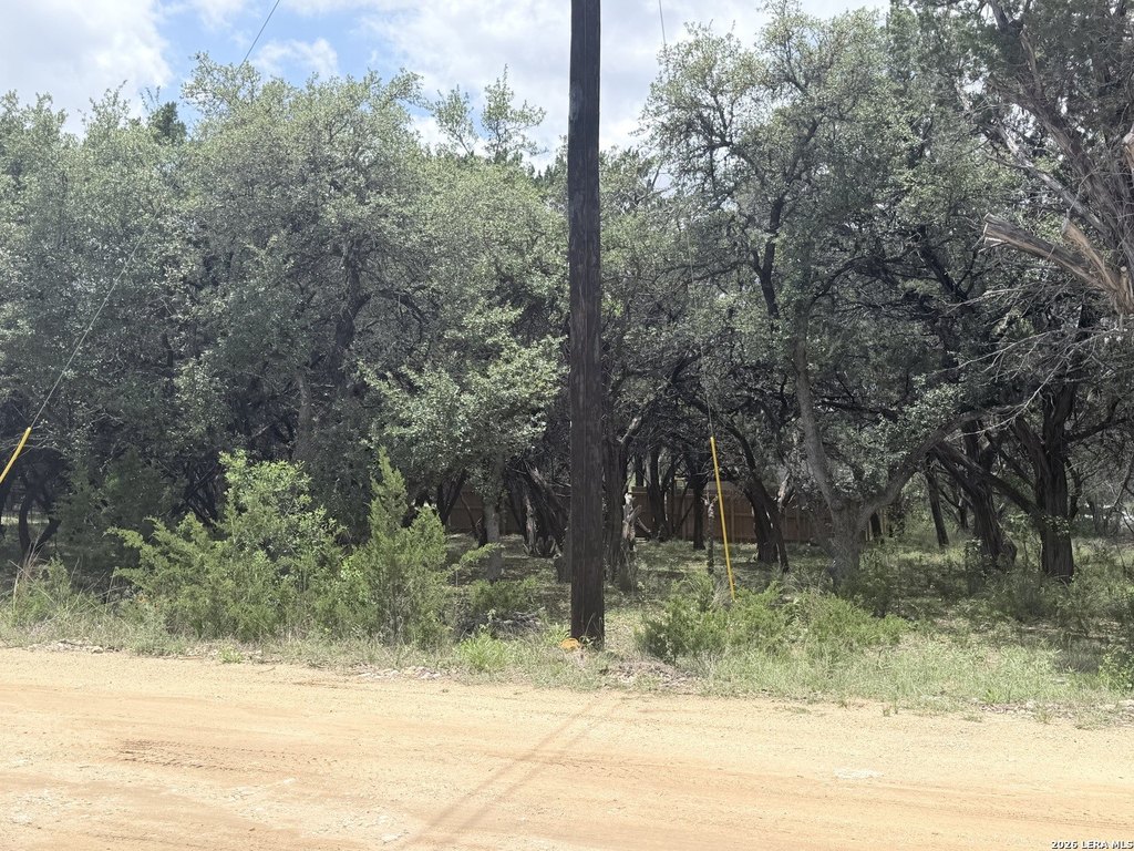 Picture 4