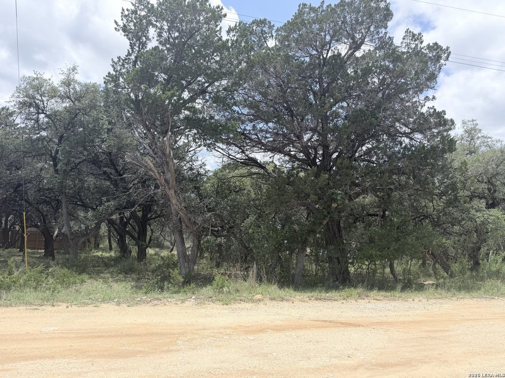 Picture 3