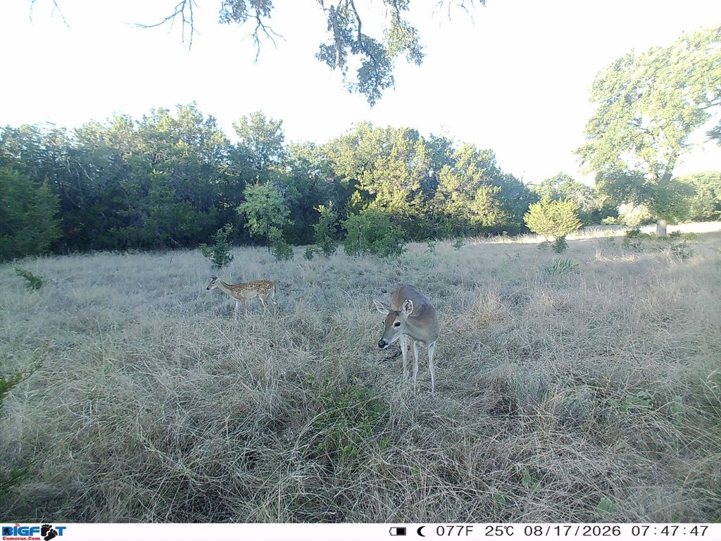 Picture 23