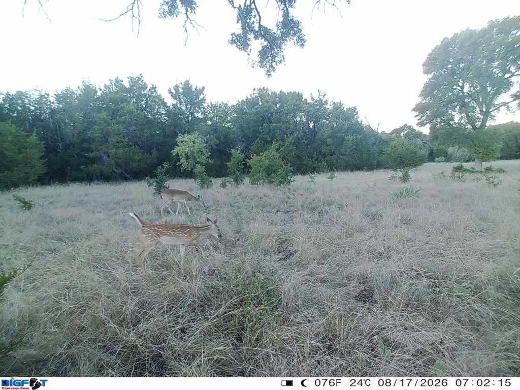 Picture 22