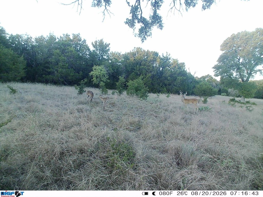 Picture 29
