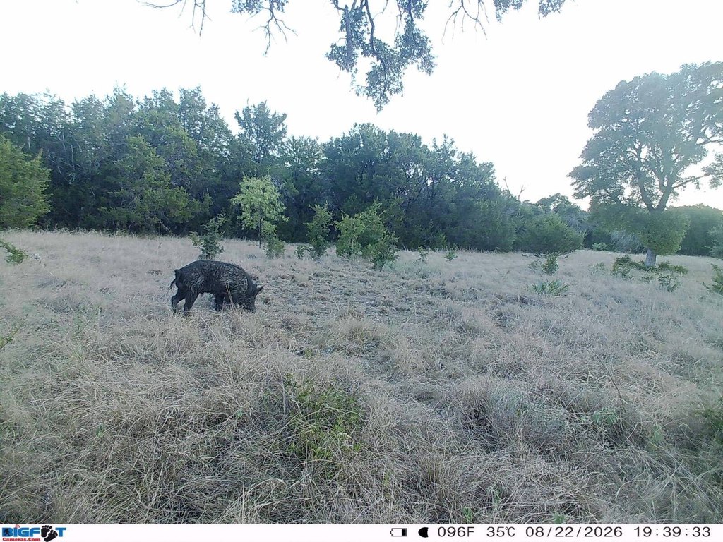 Picture 33