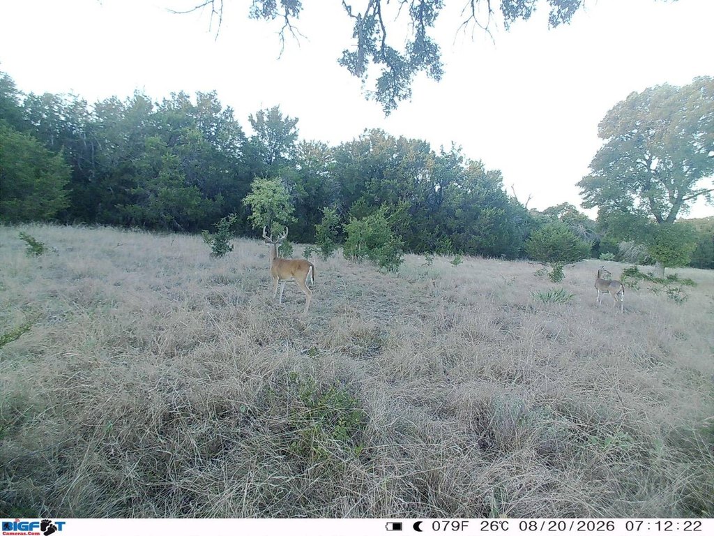 Picture 28