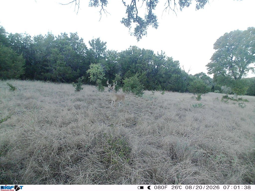 Picture 26