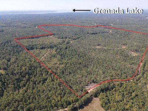 Timber Hunting Land with Creek