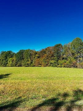 Residential Land in Baxter, TN