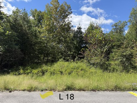 Land, Albany, KY