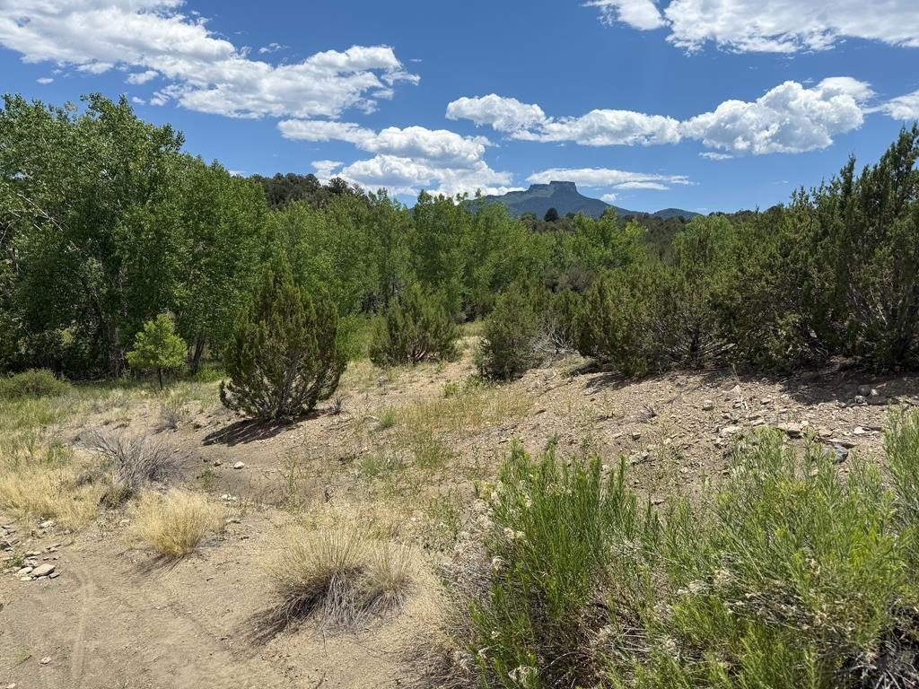 Commercial Land with Fisher's Peak Views